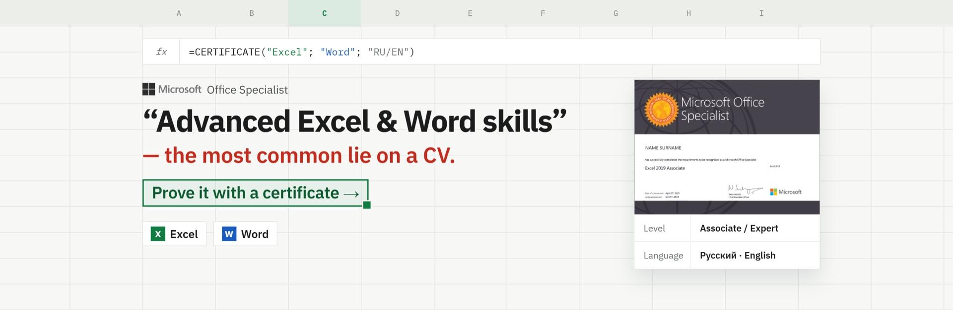 Microsoft Office Specialist