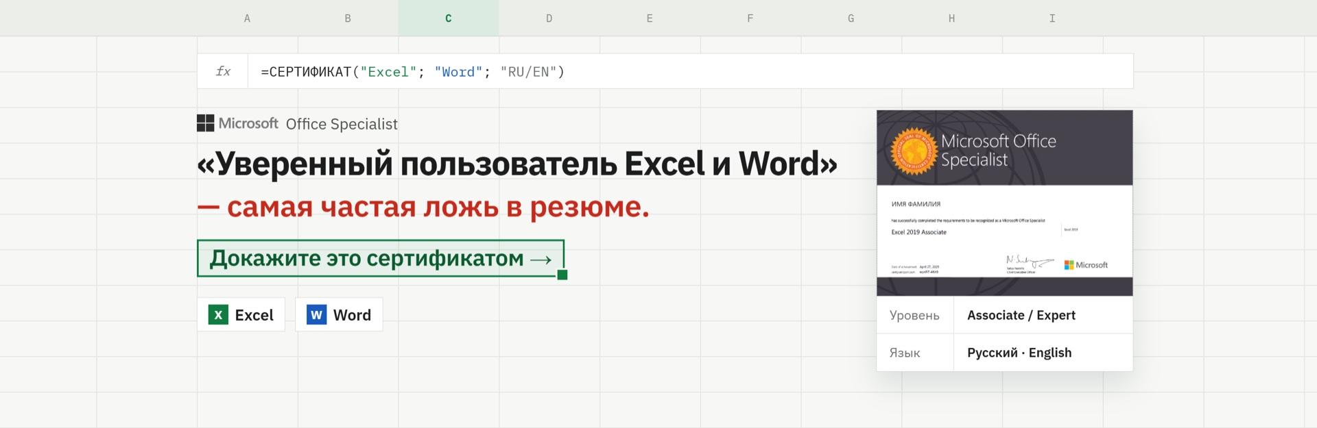 Microsoft Office Specialist