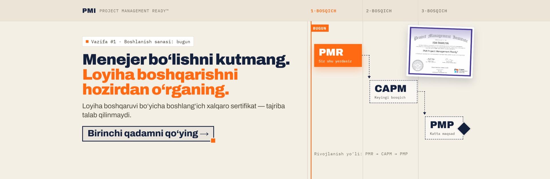 PMI Project Management Ready
